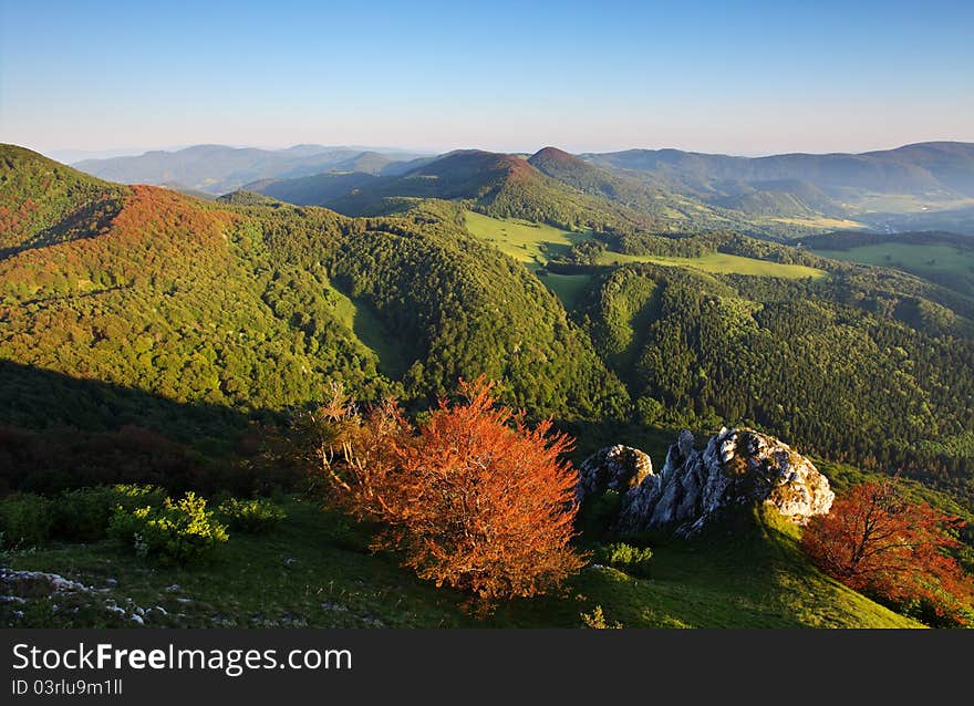 The mountain autumn landscape with colorful forest