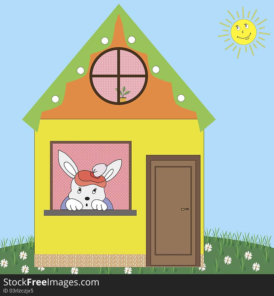 House Rabbit