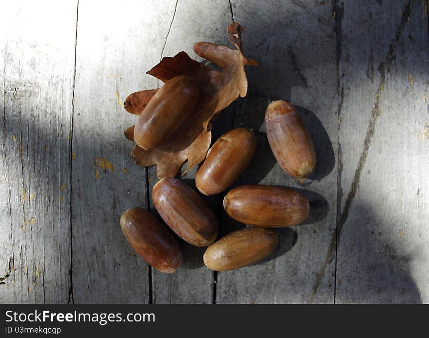 Acorns and dry leaf on wooden board