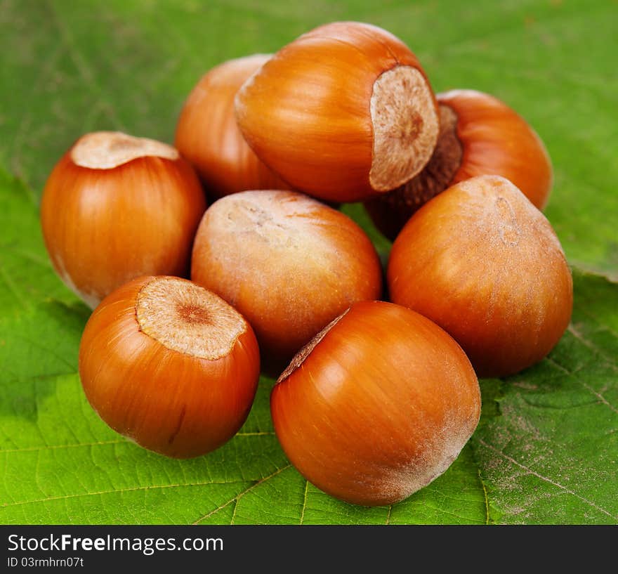 Group of ripe filberts with green leaf over white background. Group of ripe filberts with green leaf over white background