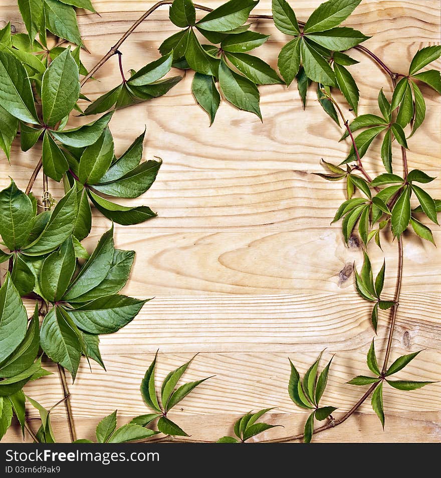 Wild wine twigs on wooden background and empty copy space for text