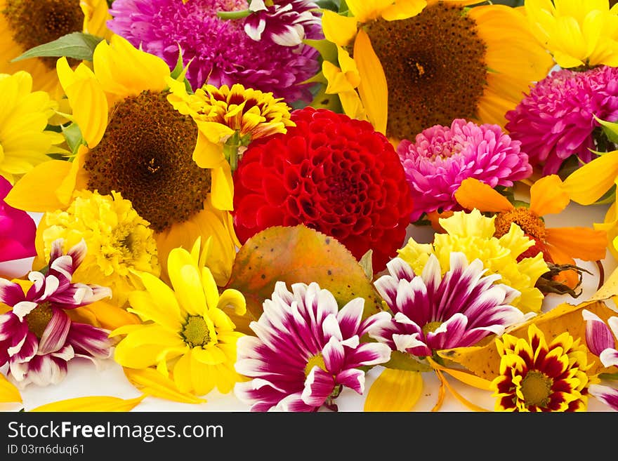 Background of many different colorful autumn flowers. Background of many different colorful autumn flowers