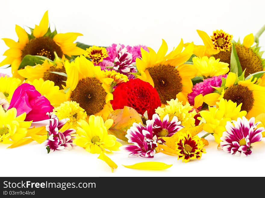 Many beautiful fall colors on a white background. Many beautiful fall colors on a white background