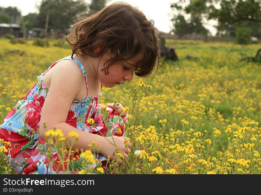 Young girl walking through a meadow