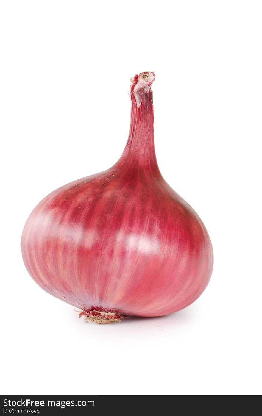 The fresh onions isolated on white background