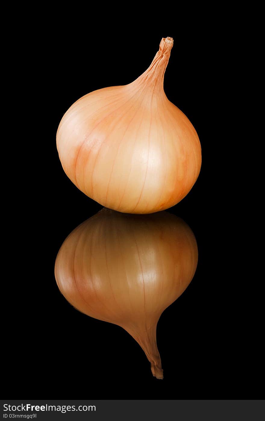 The fresh onions on a black background