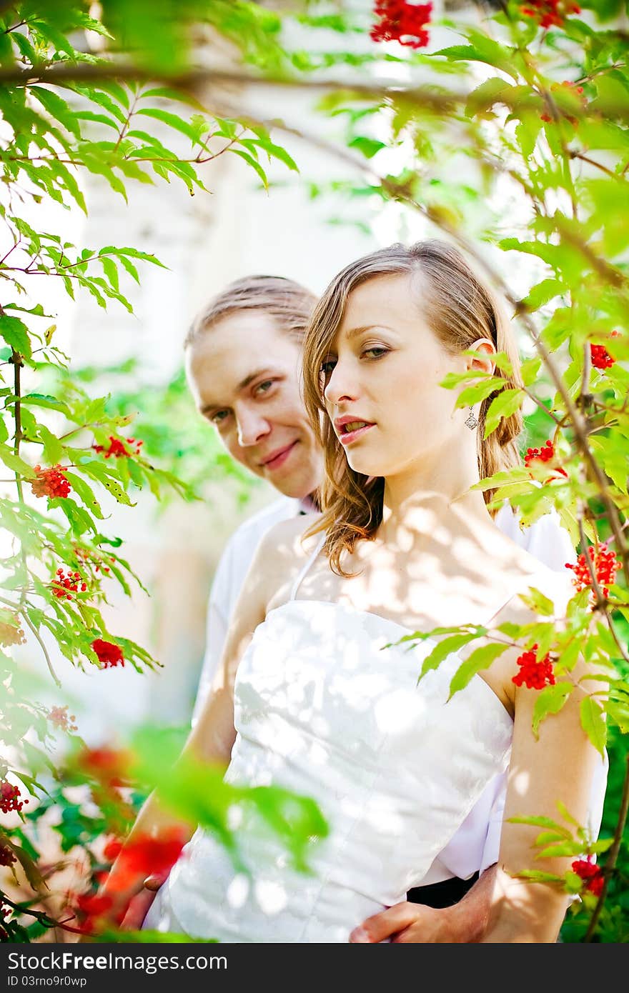 Portrait of a bride and groom standing near the tree with red berries