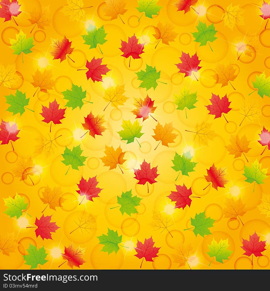 Colorful fall background with leaf. Colorful fall background with leaf