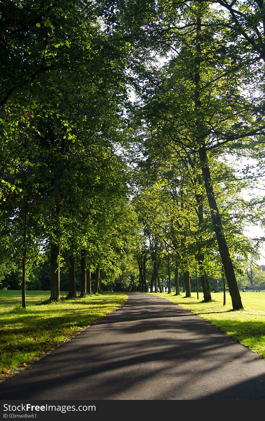 Summer Walk