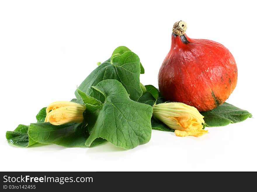 A pumpkin with leaves and flowers on a white background