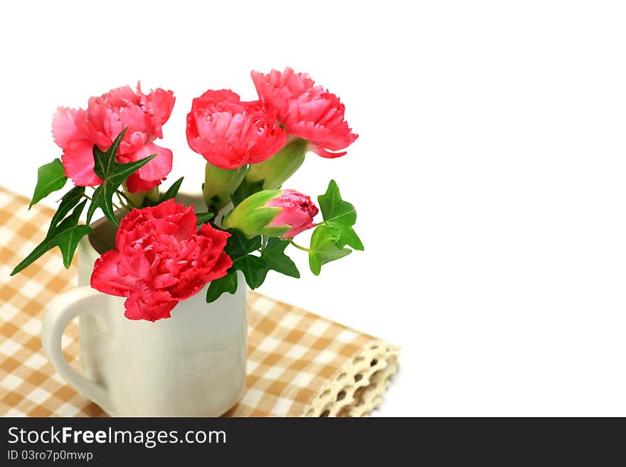 I took a carnation and ivy in a white background.