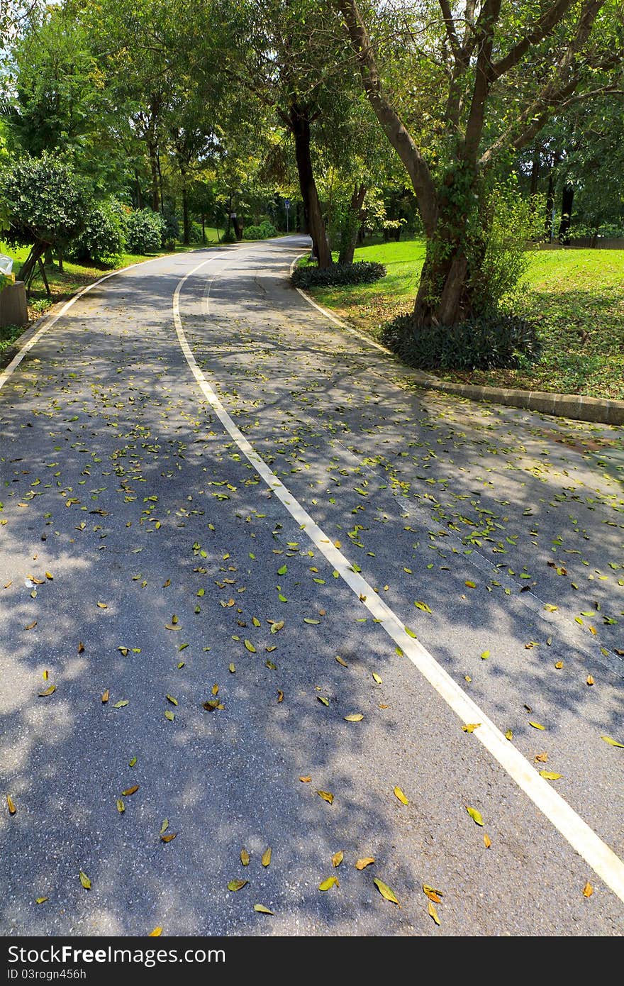 Street Trees.