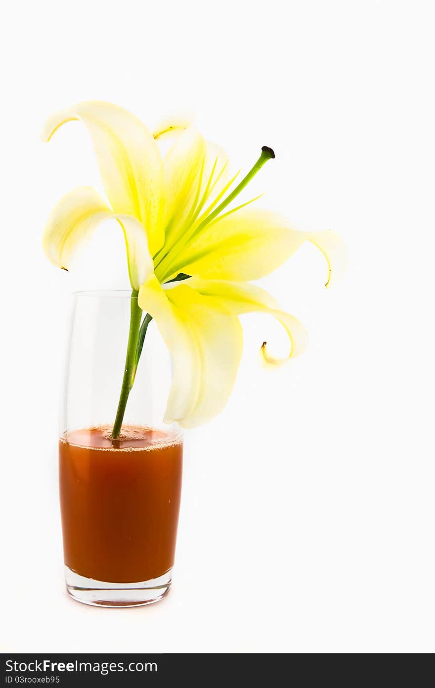 Lily Flower Isolated On White