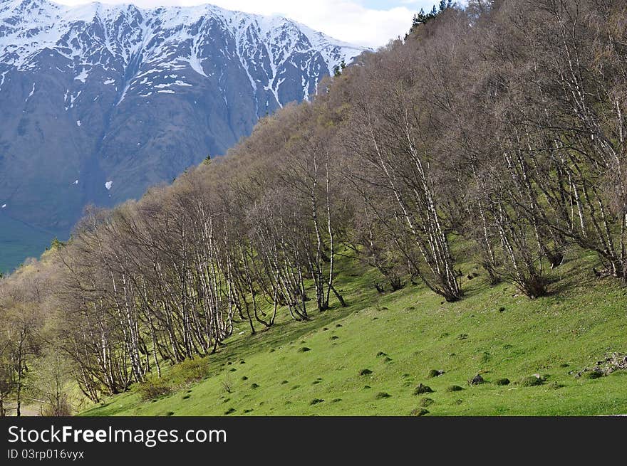 Caucasus Mountains in Georgia