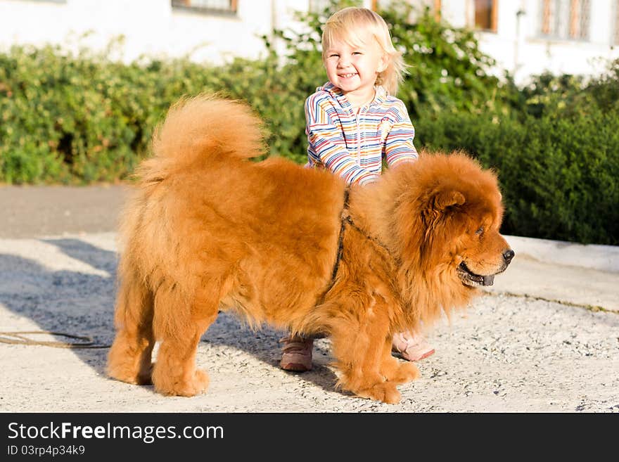 Beautiful girl with the dog outdoor