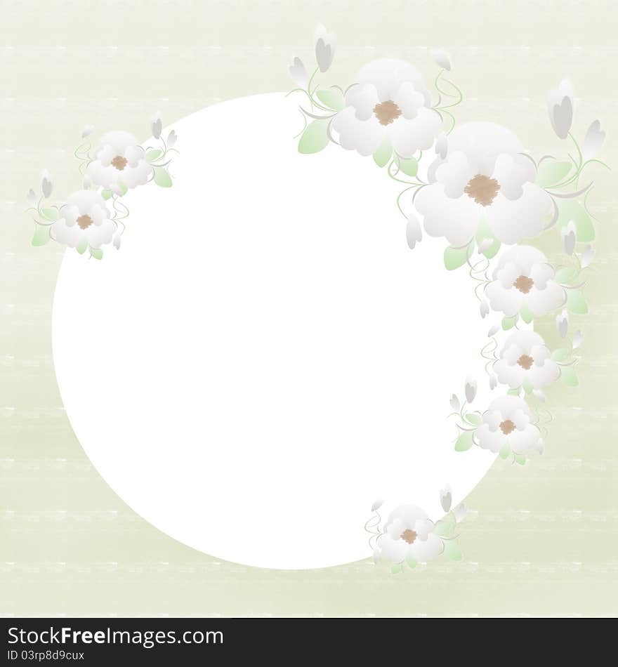 Circle frame of white flowers for photo or text. Circle frame of white flowers for photo or text