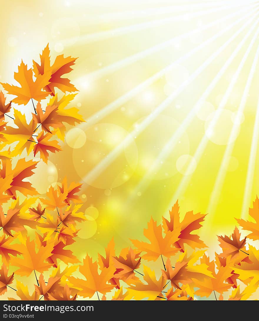 Autumn picture with the bright rays of a sun