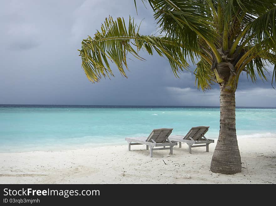 Maldives Island Monsoon. Two lounges under Palm Tree