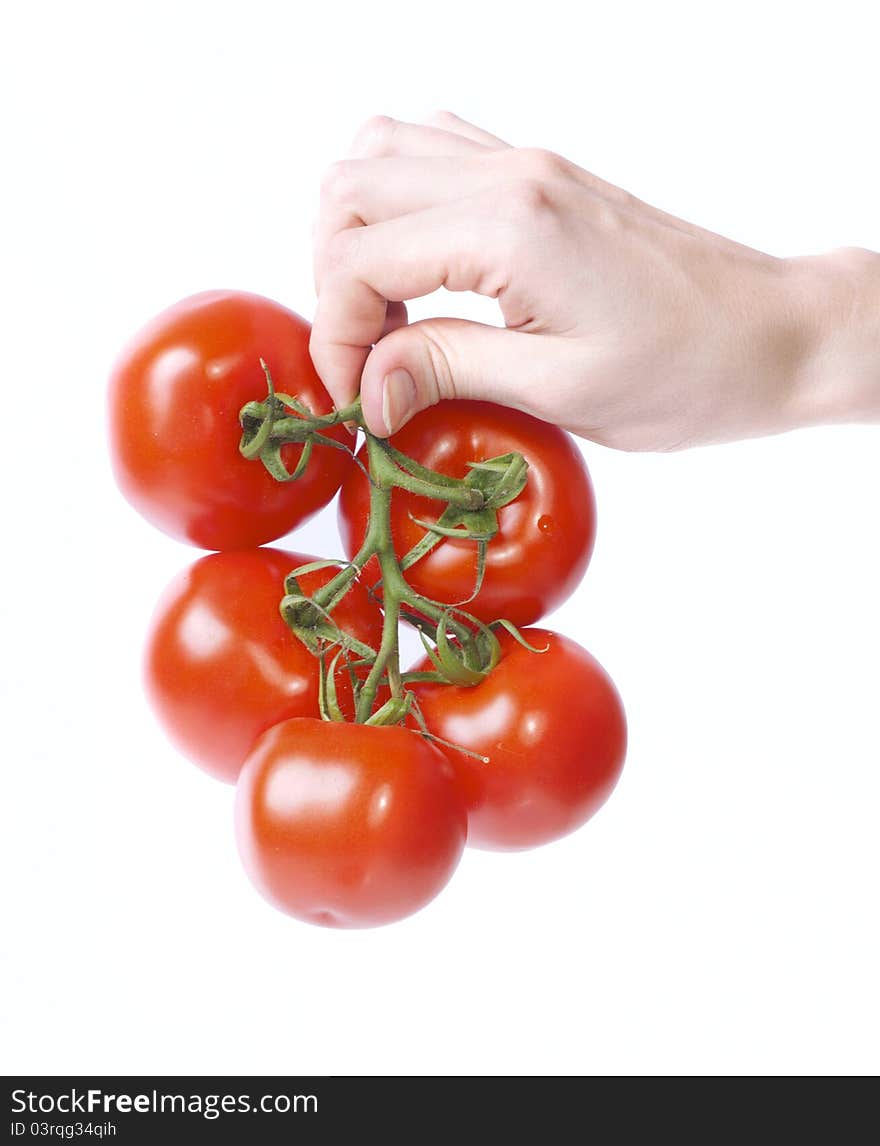 Tomatos in hand