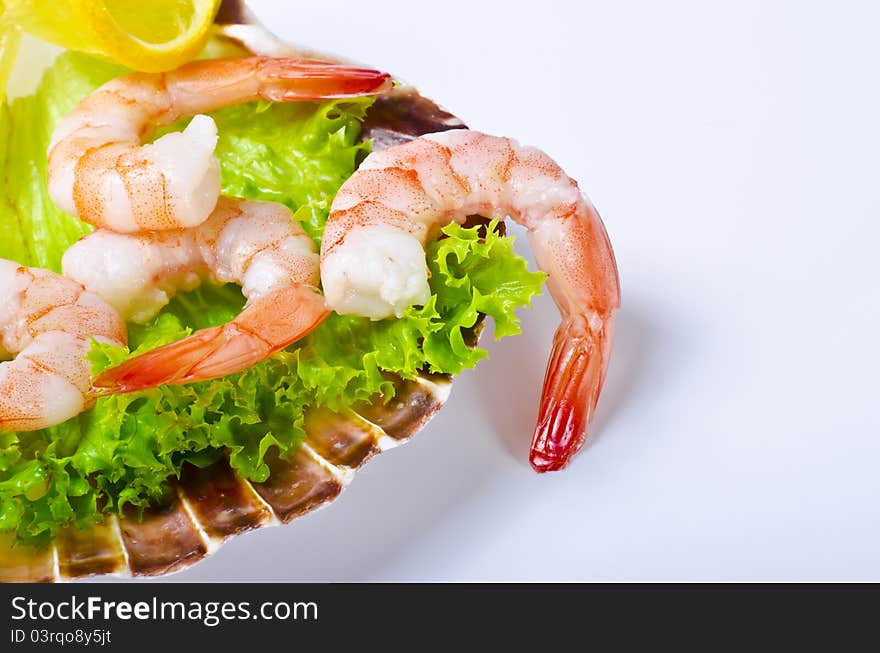 Shrimp are swimming, decapod crustaceans classified in the infraorder Caridea, found widely around the world in both fresh and salt water. Shrimp are swimming, decapod crustaceans classified in the infraorder Caridea, found widely around the world in both fresh and salt water.