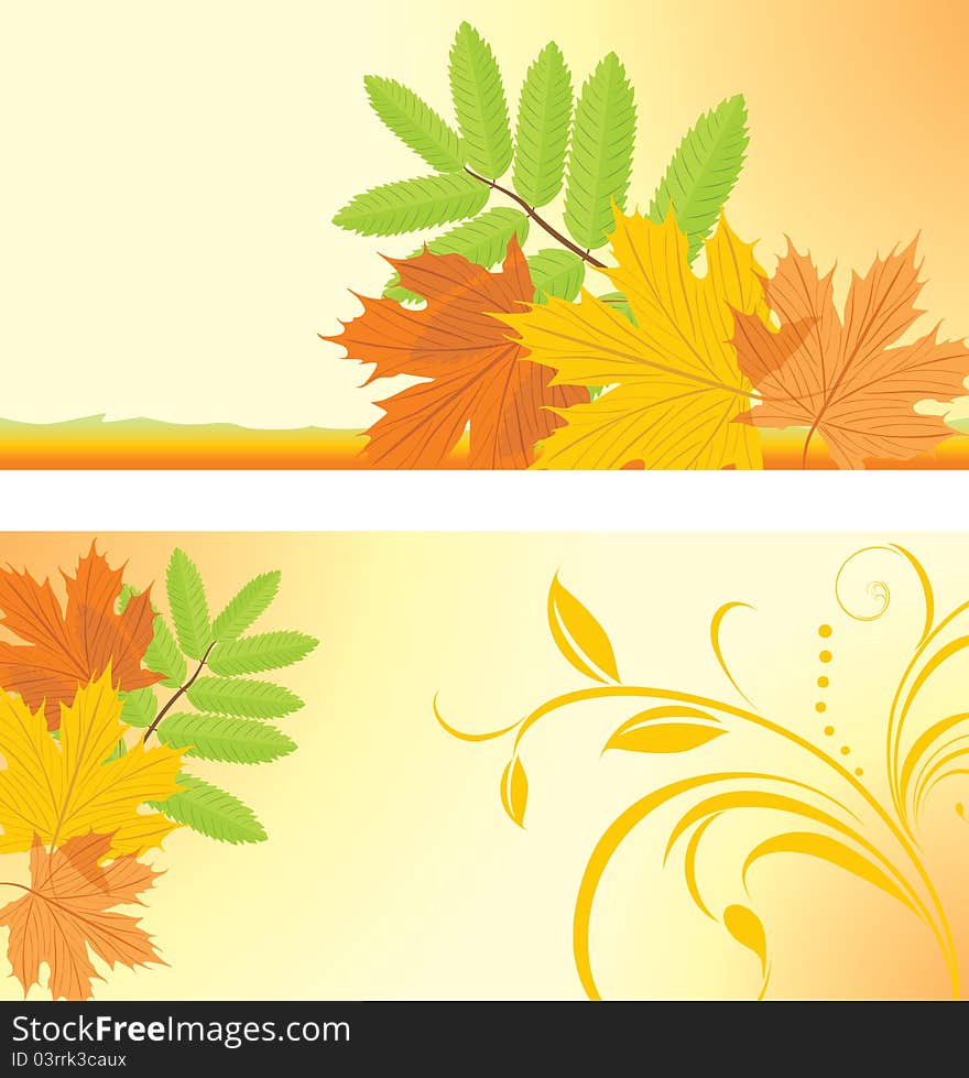 Autumn banners with maple and ash leaves. Illustration