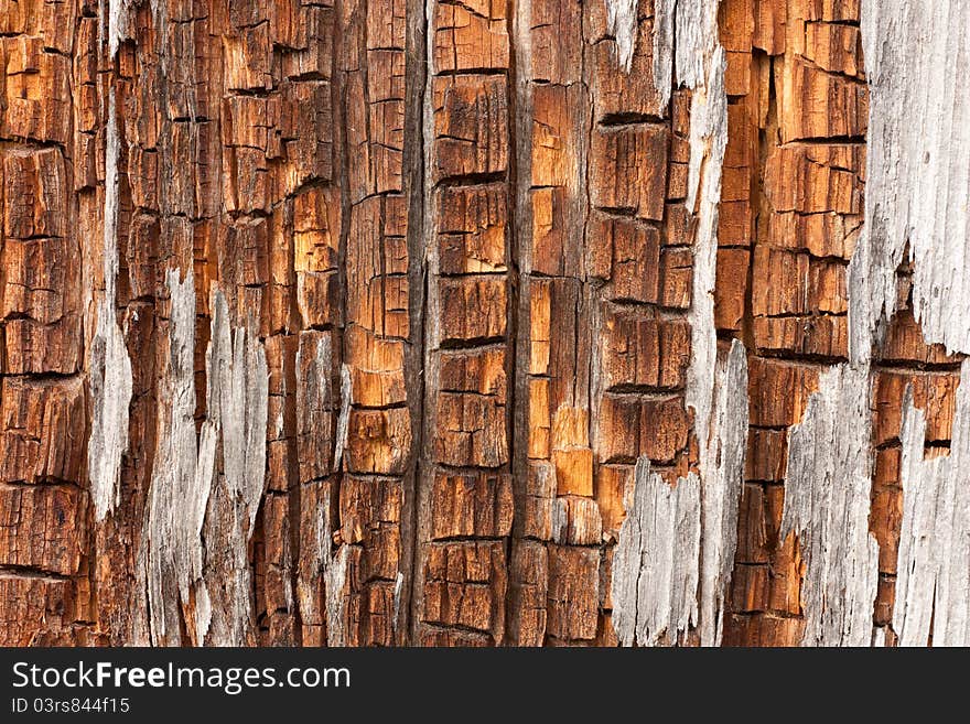 Background from an old rotten wooden board a close up. Background from an old rotten wooden board a close up