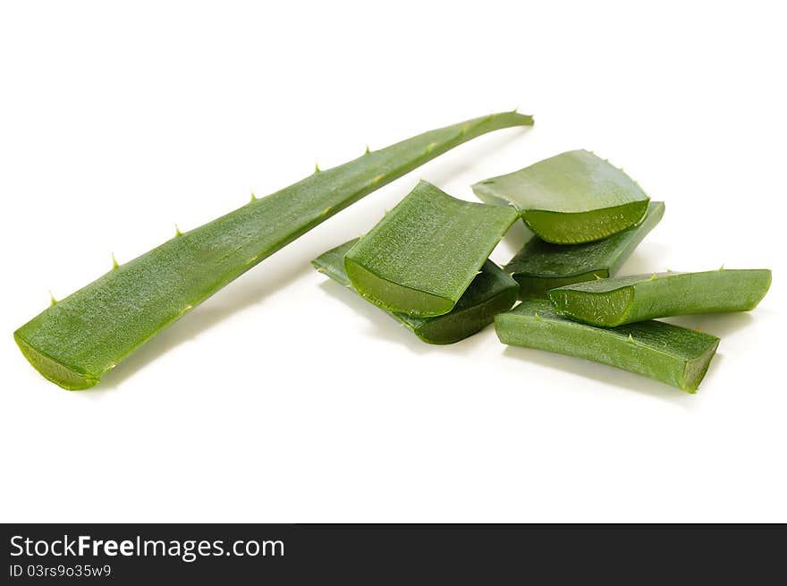 Cut leaf aloe vera