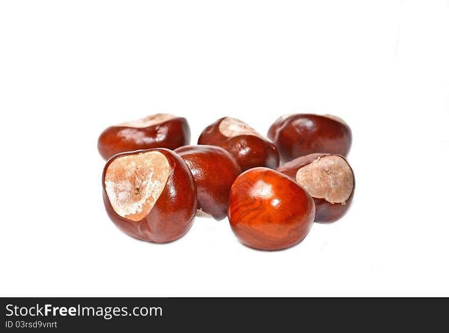 Set of autumn chestnuts isolated on white