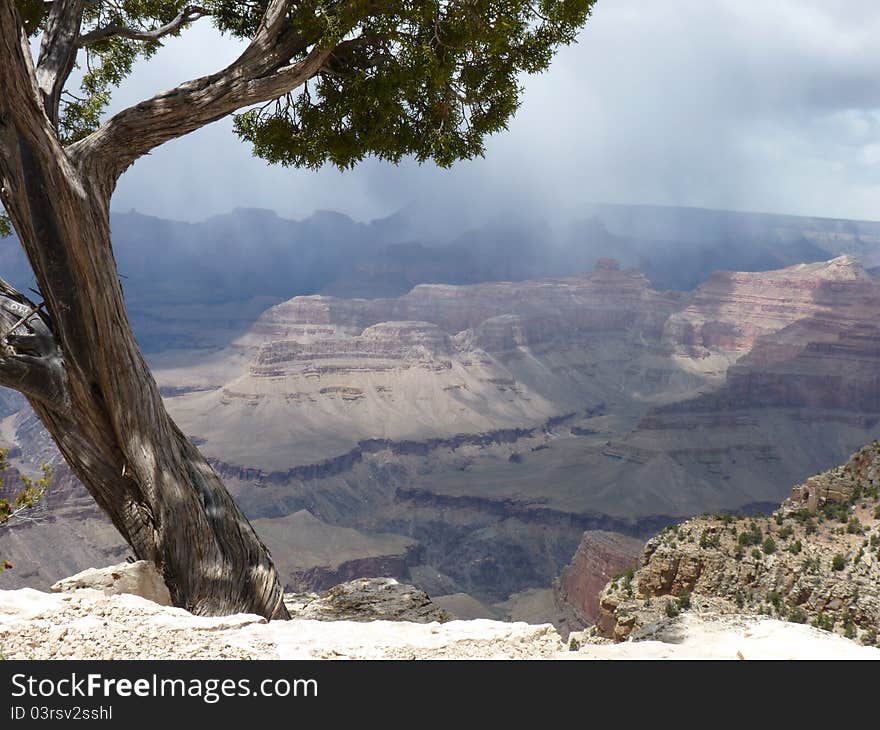 Stormy Day In The Grand Canyon