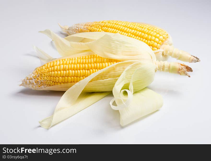 Freshly harvested corns, on white background. Freshly harvested corns, on white background.