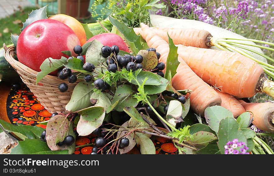 Abstract autumn leaves and vegetable composition