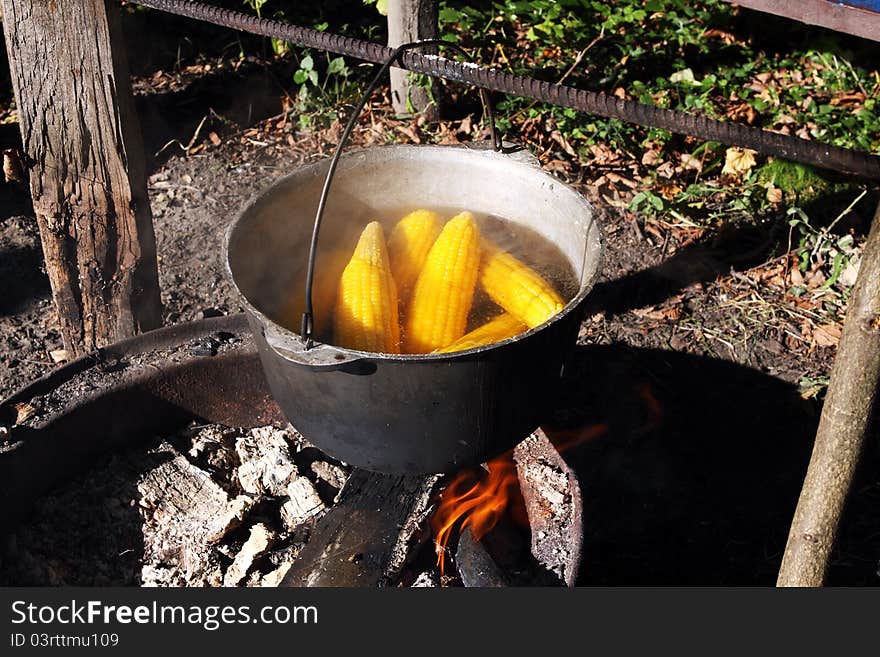 Boiling corn in the black metal cauldron. Boiling corn in the black metal cauldron