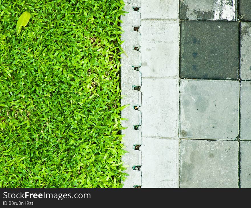 Grass And Cement Block