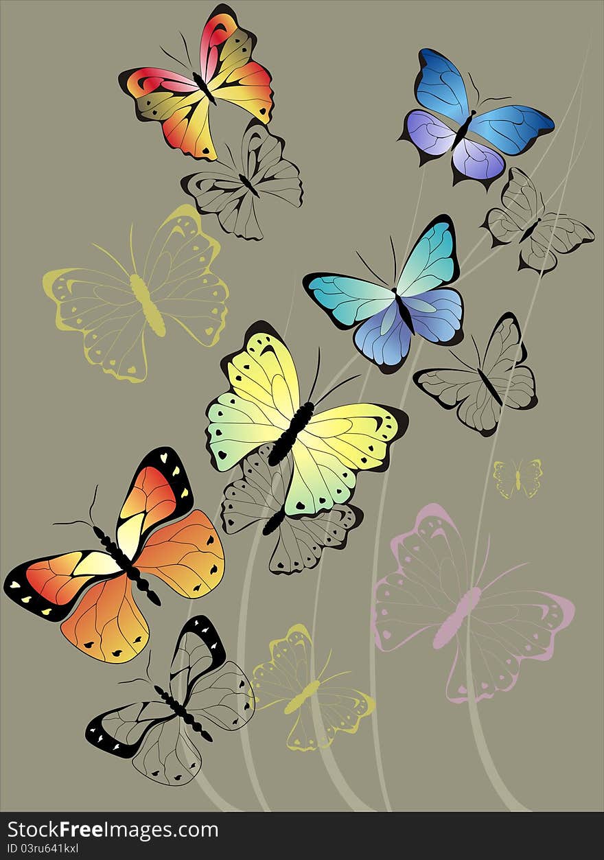 Butterflies