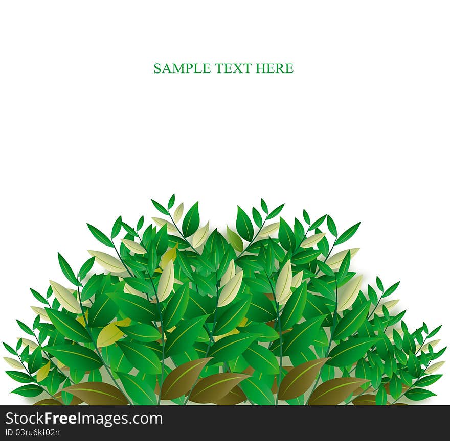 Green leaves, and for your ads. Green leaves, and for your ads