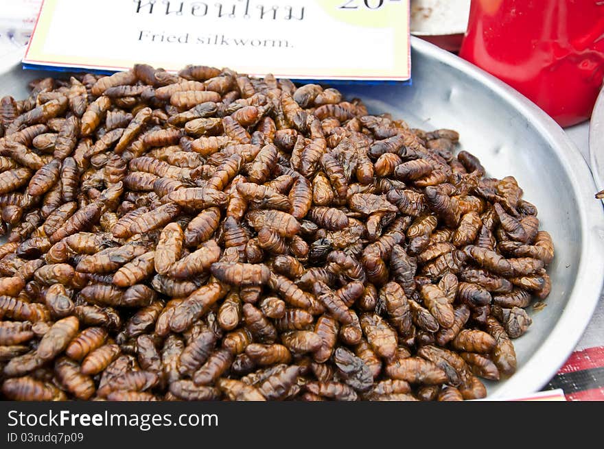 Fried silk worm is the food of the natives of northern Thailand. Fried silk worm is the food of the natives of northern Thailand.