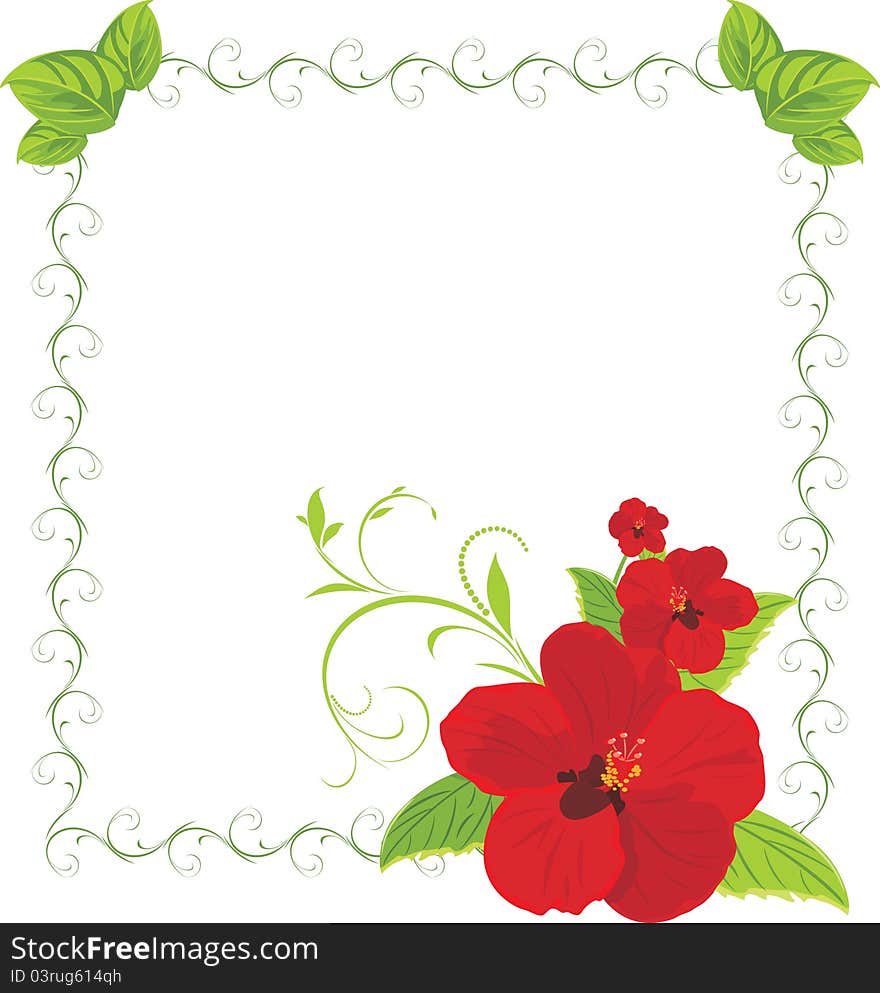 Red flowers in the decorative frame. Illustration