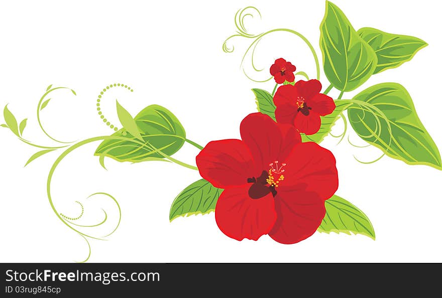 Red flowers with sprigs