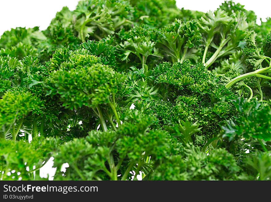 Juicy green parsley, isolated on a white