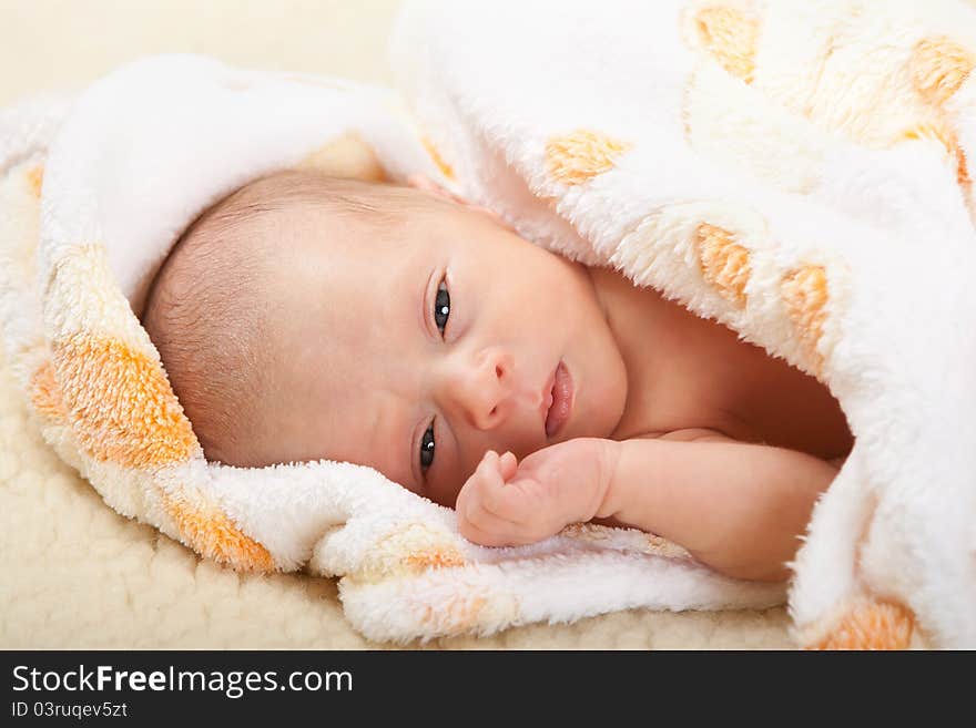 Baby face with soft cover on sheep leather. Baby face with soft cover on sheep leather