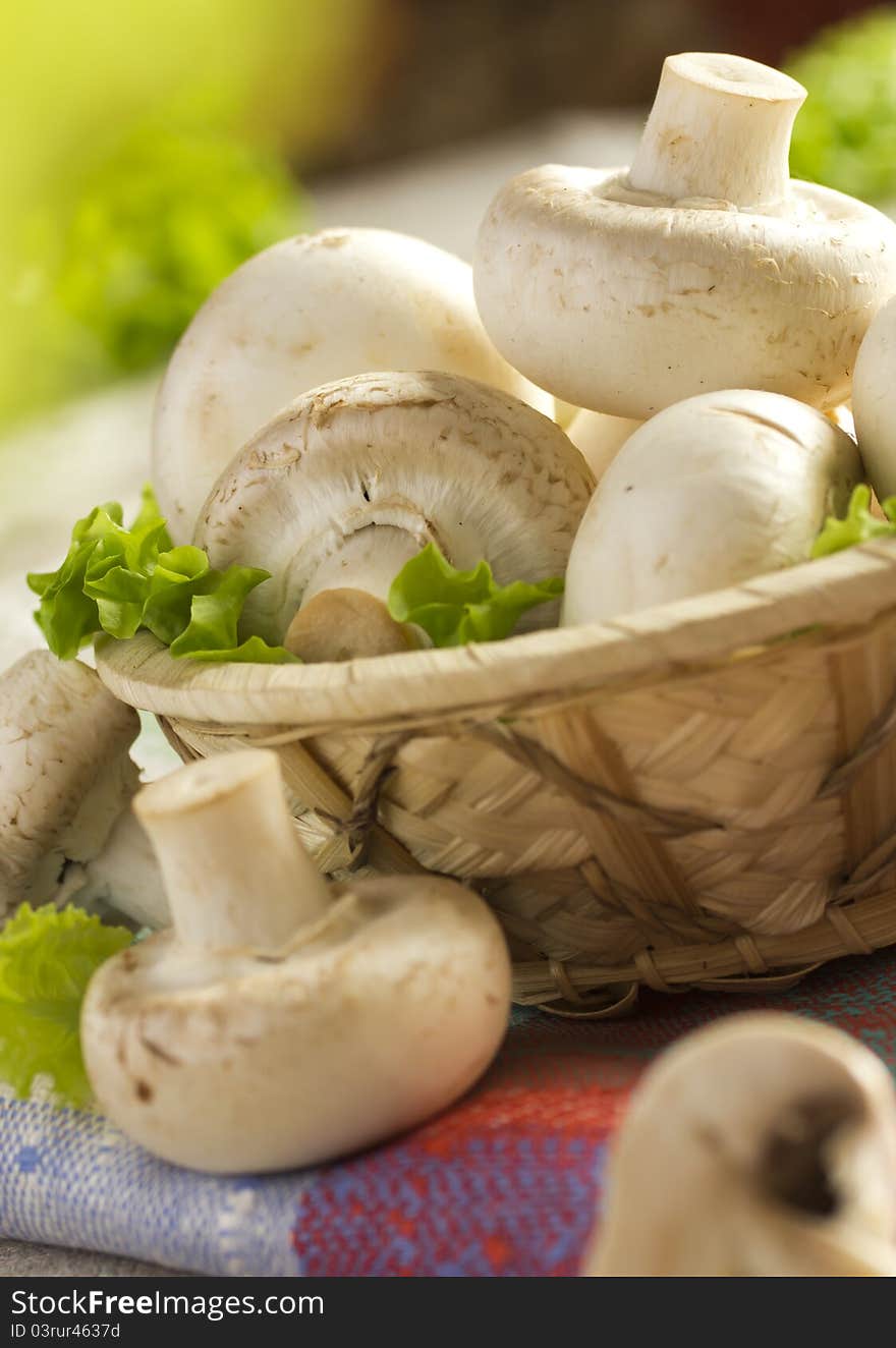 Fresh white champignons in a basket. Fresh white champignons in a basket