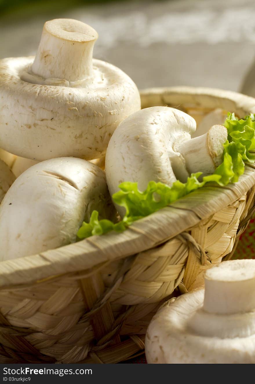 Fresh white champignons in a basket. Fresh white champignons in a basket