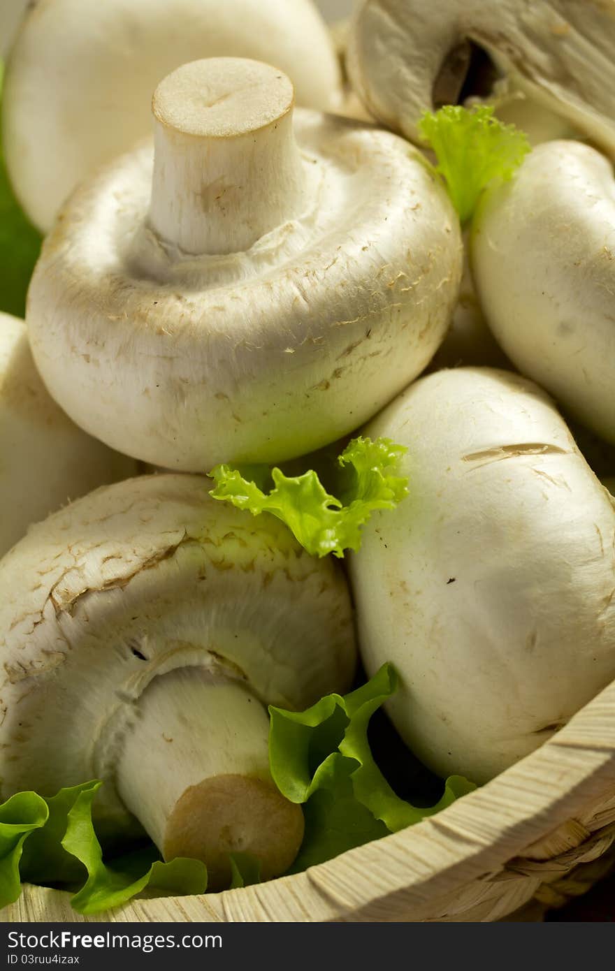 Fresh white champignons in a basket. Fresh white champignons in a basket