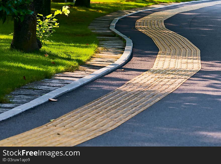 The Winding road in green grasses of park