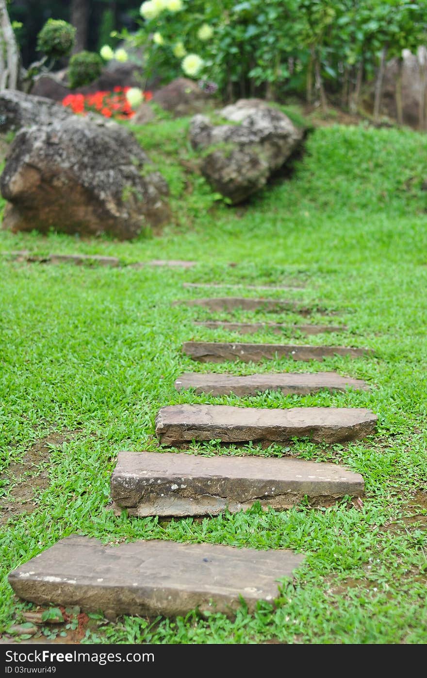 Garden stone path with grass growing up between the stones