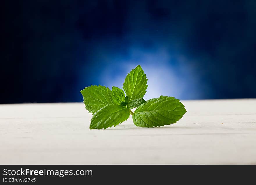 Mint leaves on wooden table with spot light