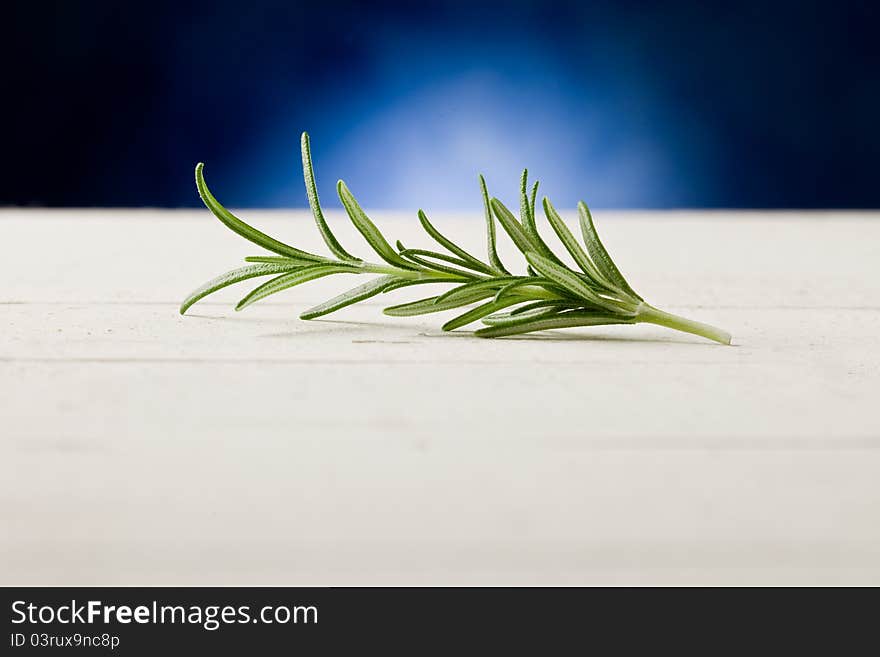 Rosemary highlighted by spot light