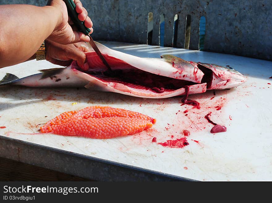 Cleaning salmon