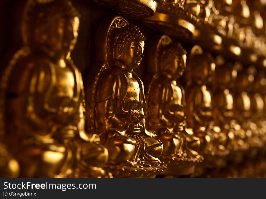 The buddha of chinese temple in thailand