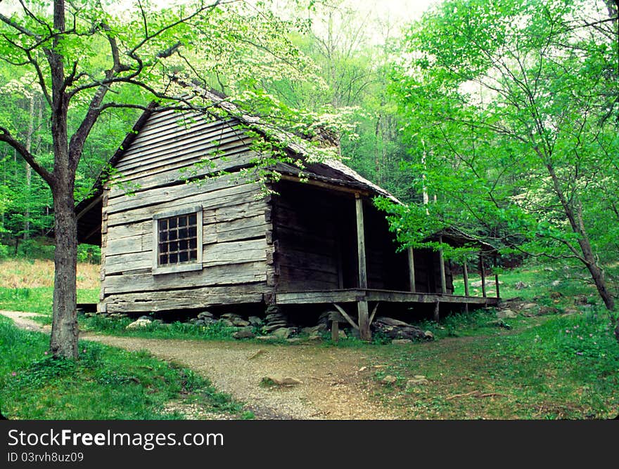 Old Log House With Dogwood Blooms